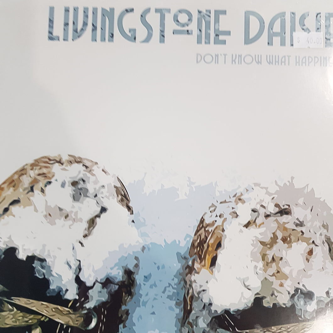 LIVINGSTONE DAISES - DONT KNOW WHAT HAPPINESS IS VINYL