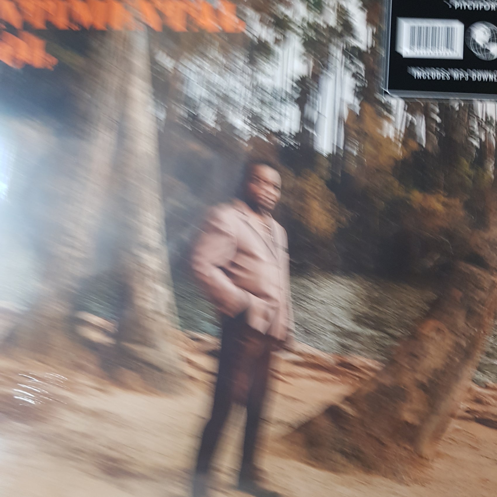 LEE FIELDS - SENTIMENTAL FOOL VINYL
