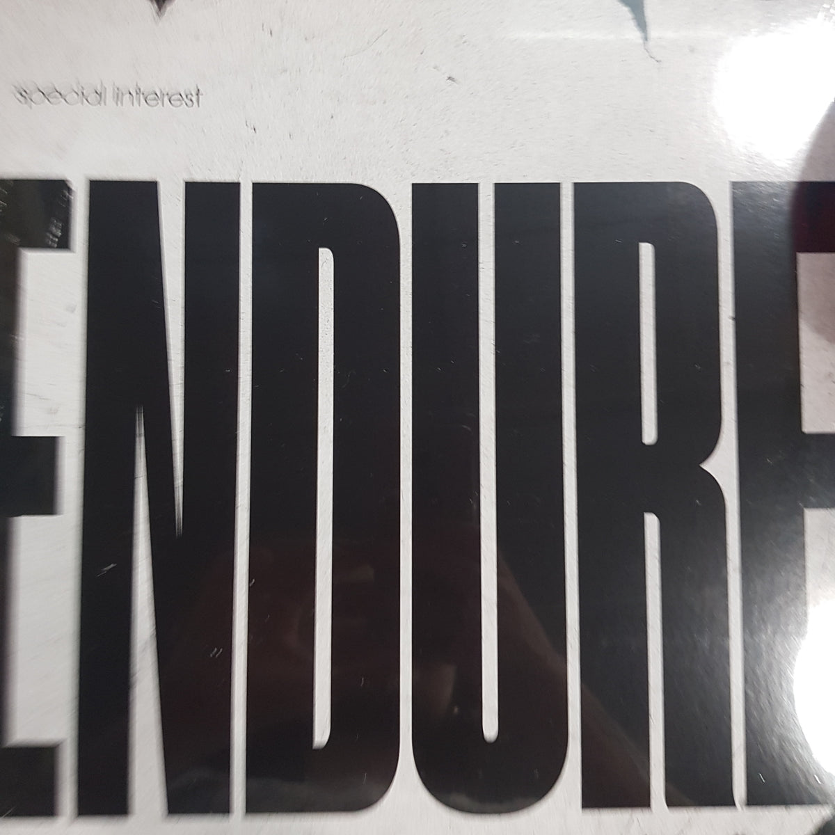SPECIAL INTEREST - ENDURE VINYL