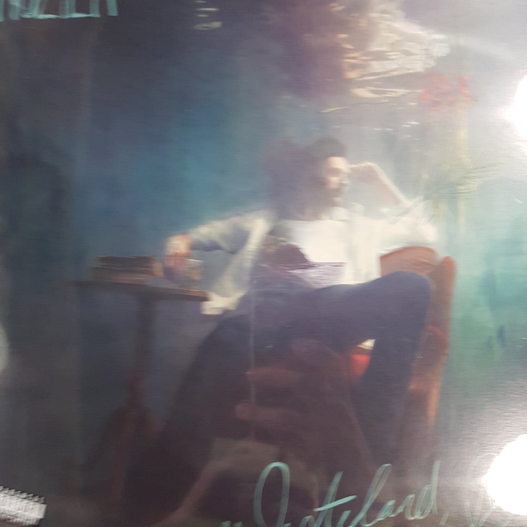 HOZIER - WASTELAND, BABY (2LP) VINYL