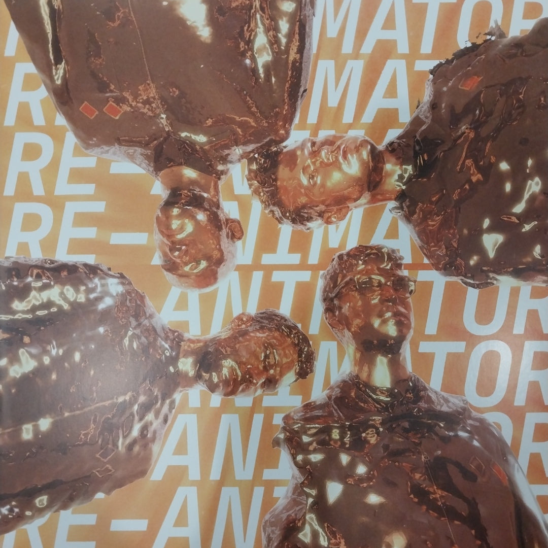 EVERYTHING EVERYTHING - RE-ANIMATOR (USED VINYL 2020 U.S. M- M-)