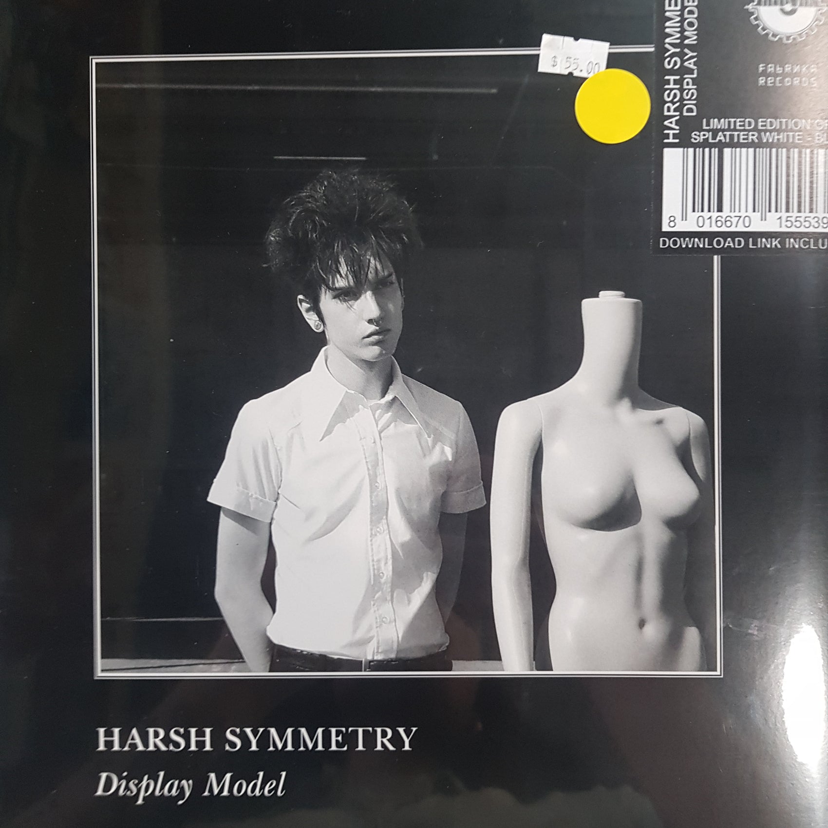 HARSH SYMMETRY - DISPLAY MODEL VINYL