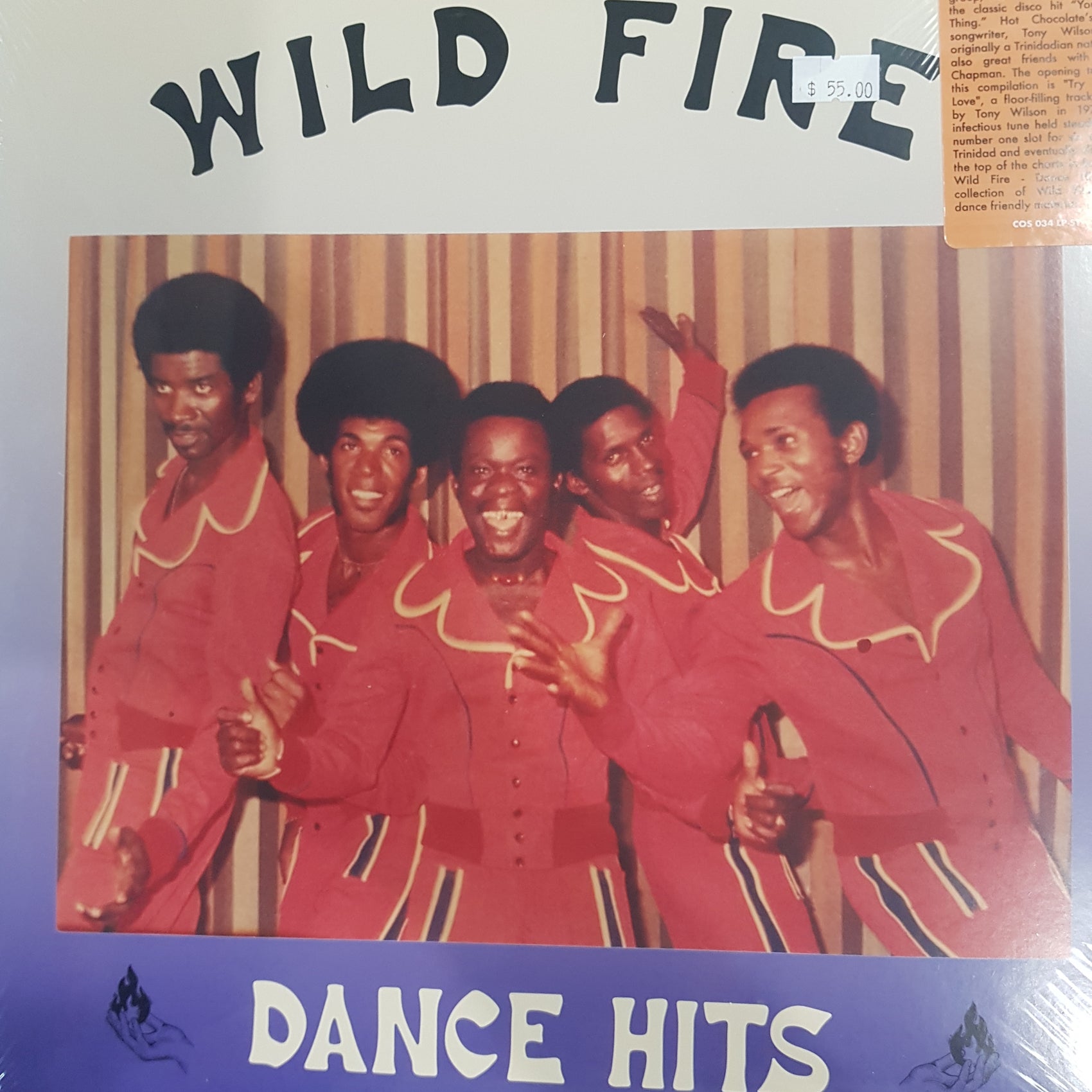 WILDFIRE - DANCE HITS VINYL