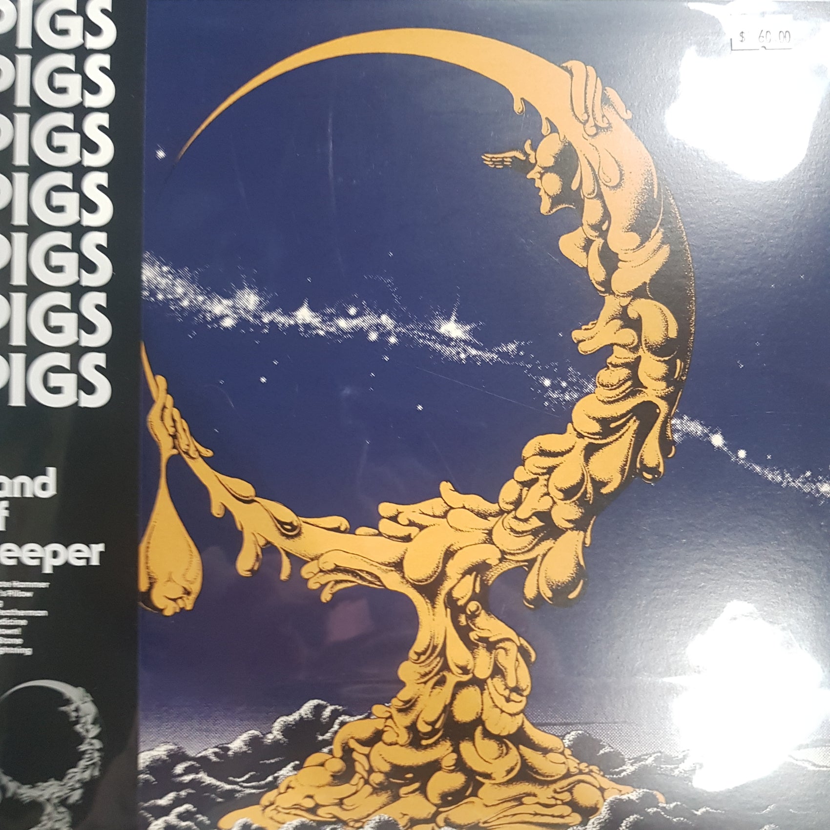PIGS PIGS PIGS PIGS PIGS PIGS PIGS - LAND OF SLEEPER VINYL