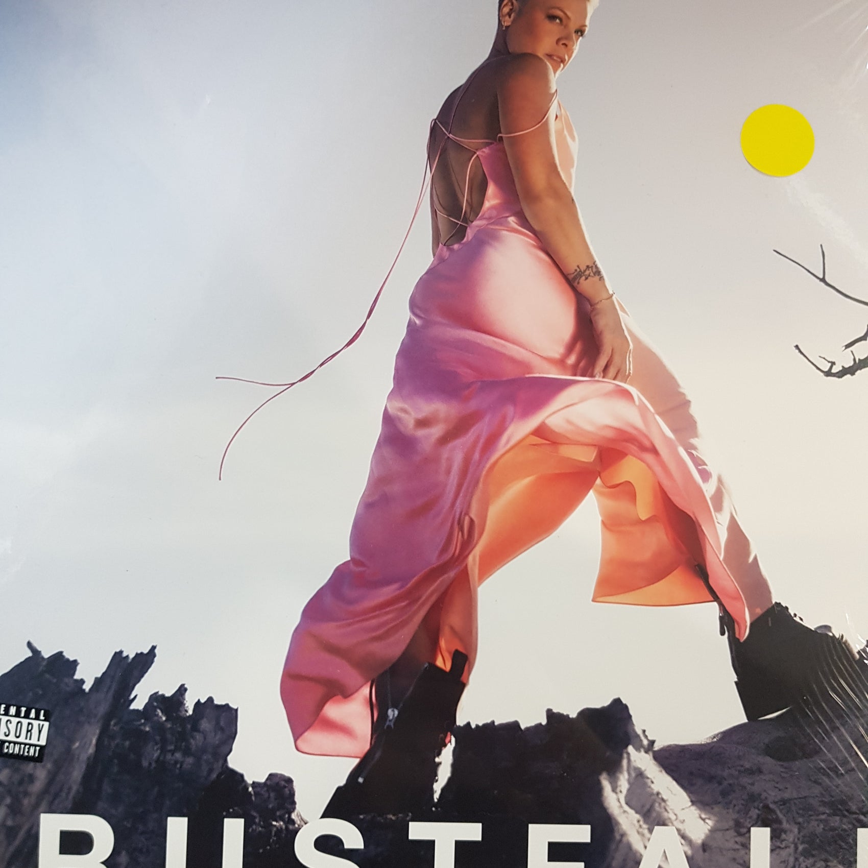 PINK - TRUSTFALL (2LP) VINYL