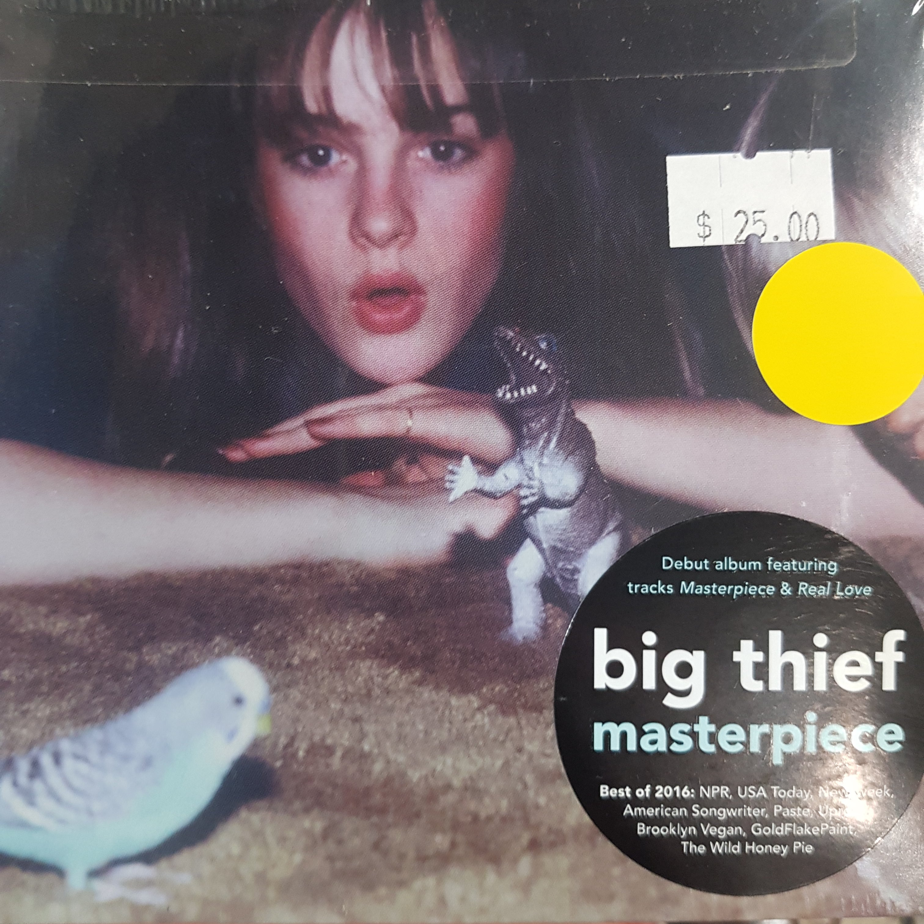 BIG THIEF - MASTERPIECE CD – GrevilleRecords