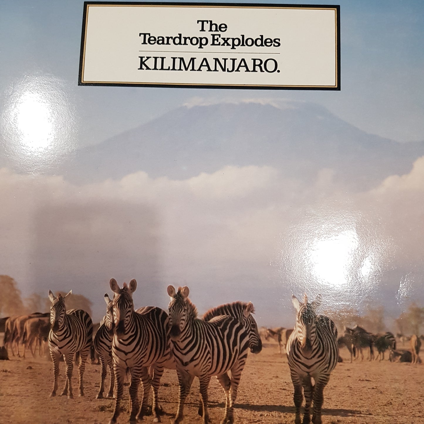 TEARDROP EXPLODES - KILIMANJARO (USED VINYL 1981 UK EX+/EX+)
