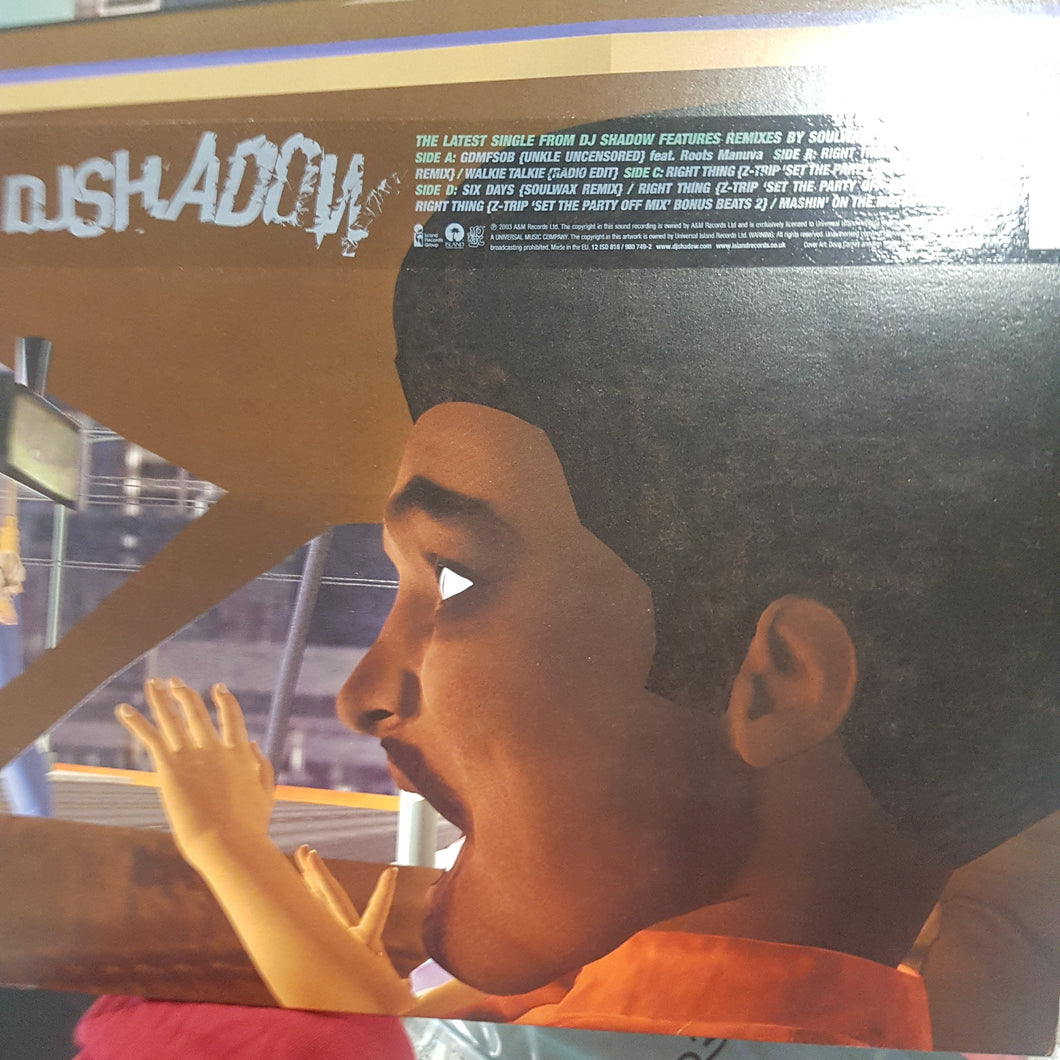DJ SHADOW - GDMFSOB (2x12