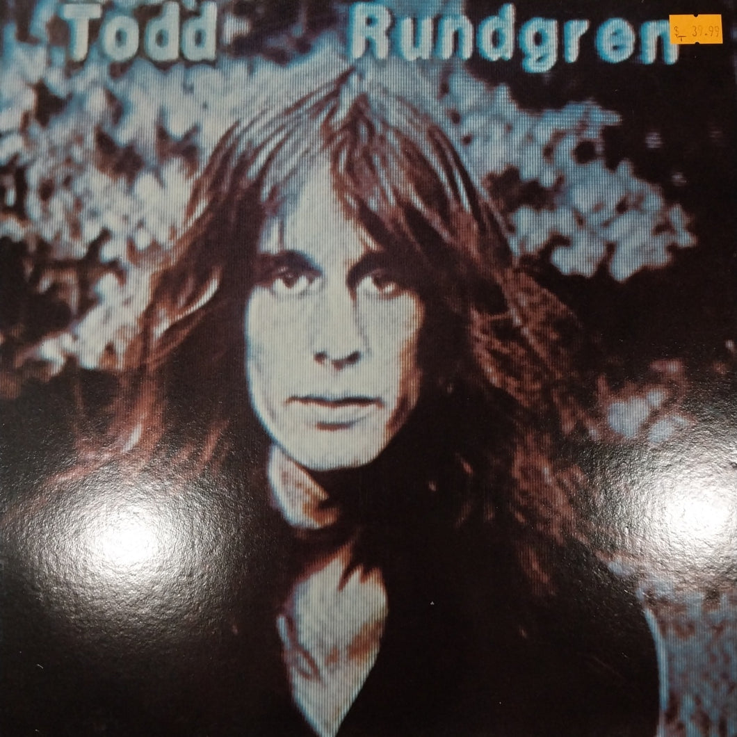 TODD RUNDGREN - HERMIT OF MINK HOLLOW (USED VINYL 1978 U.S. M- EX+)