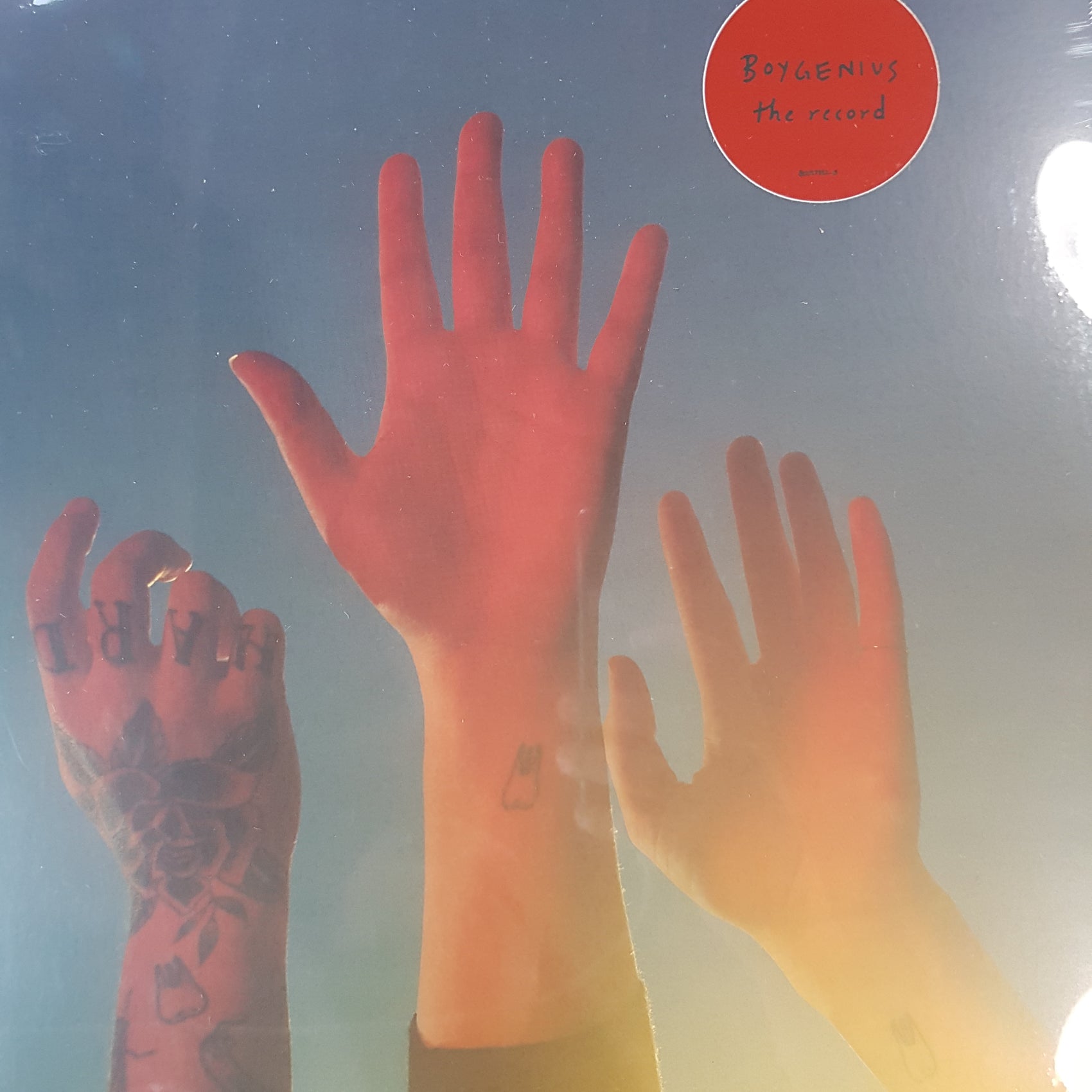 BOYGENIUS - THE RECORD VINYL