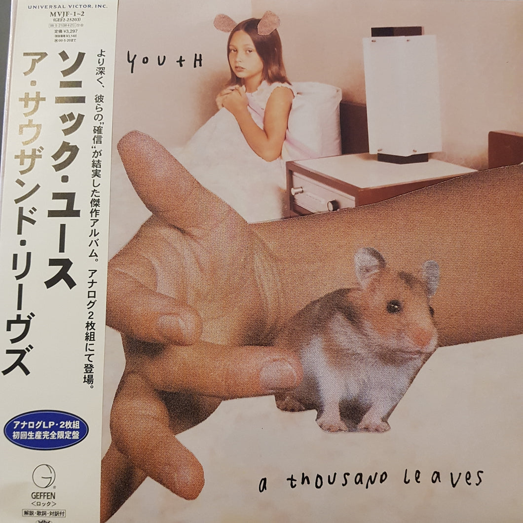 SONIC YOUTH - A THOUSAND LEAVES (2LP) (USED VINYL 1998 JAPANESE M-/EX+)