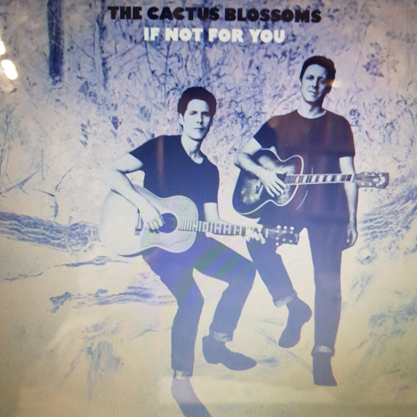 CACTUS BLOSSOMS - IF NOT FOR YOU (BOB DYLAN SONGS) VOL 1 (BLUE MARBLE COLOURED) RSD 2023 VINYL