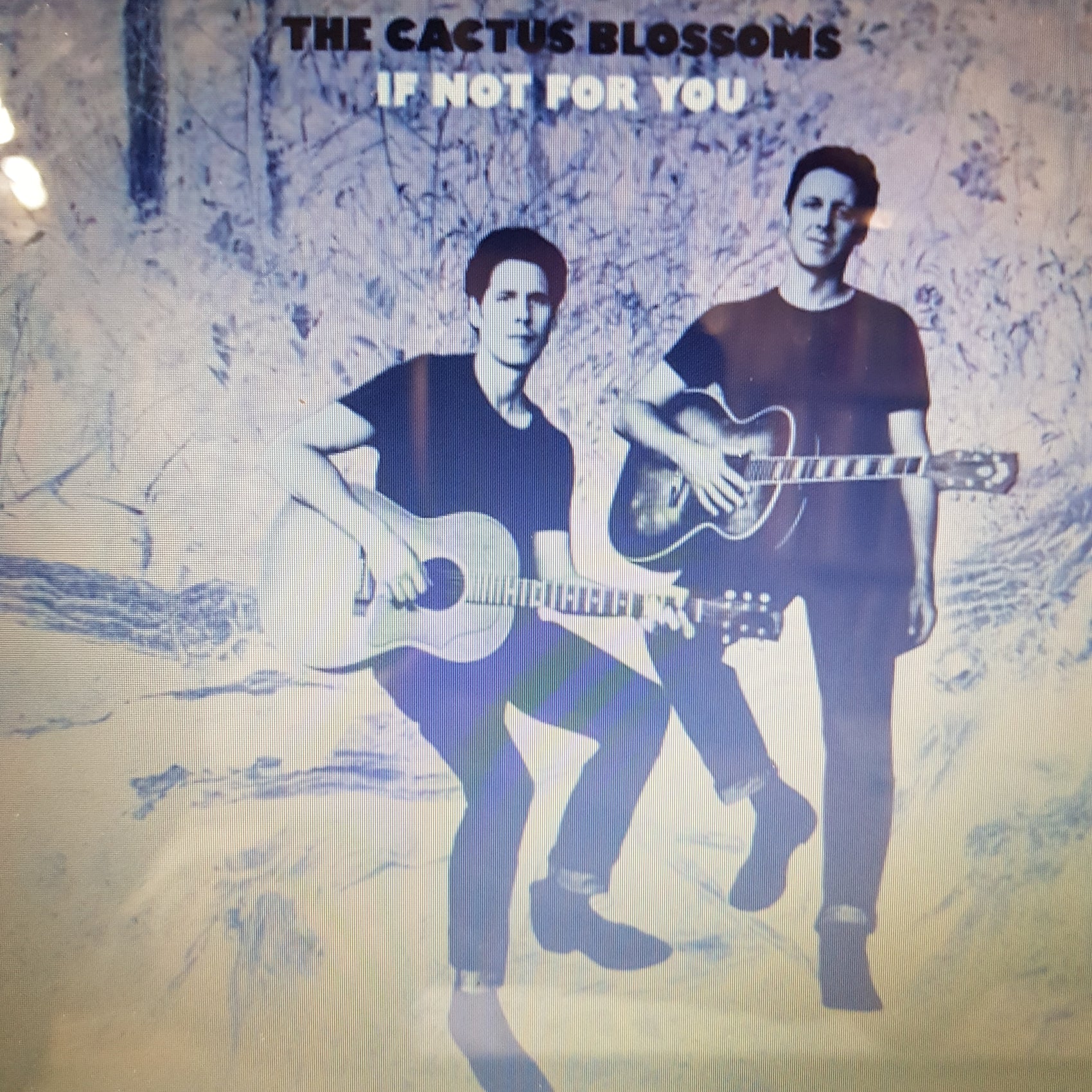 CACTUS BLOSSOMS - IF NOT FOR YOU (BOB DYLAN SONGS) VOL 1 (BLUE MARBLE COLOURED) RSD 2023 VINYL