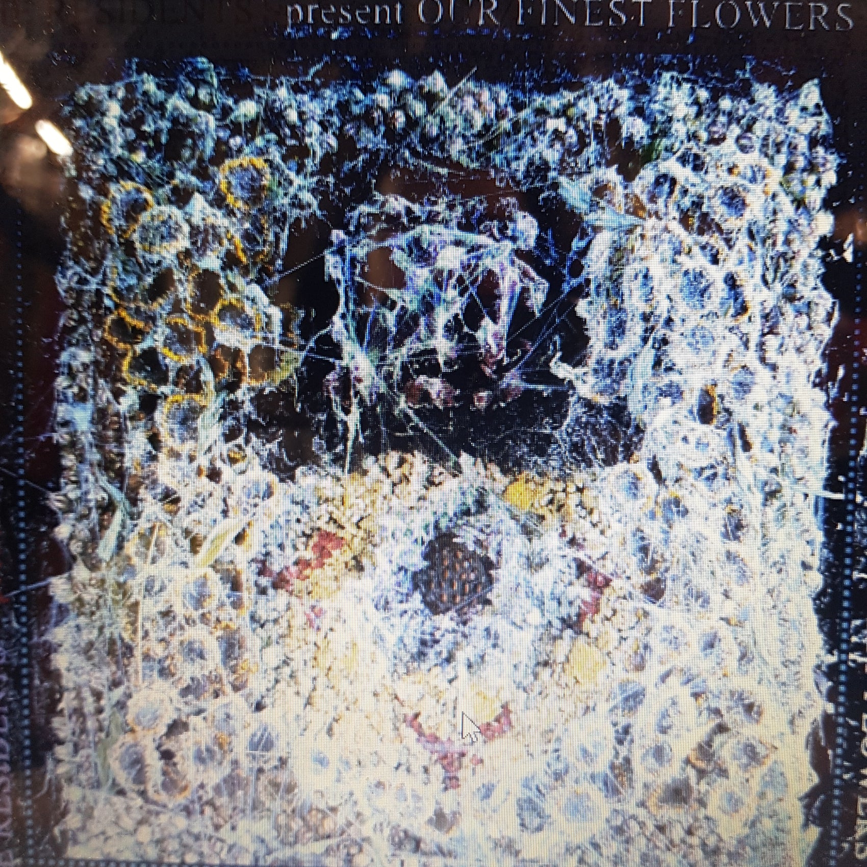 RESIDENTS - OUR FINEST FLOWERS RSD 2023 VINYL