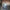 SPECIALS - WORK IN PROGRESS RSD 2023 VINYL