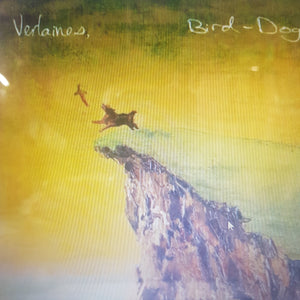 VERLAINES - BIRD DOG (PURPLE COLOURED) RSD 2023 VINYL