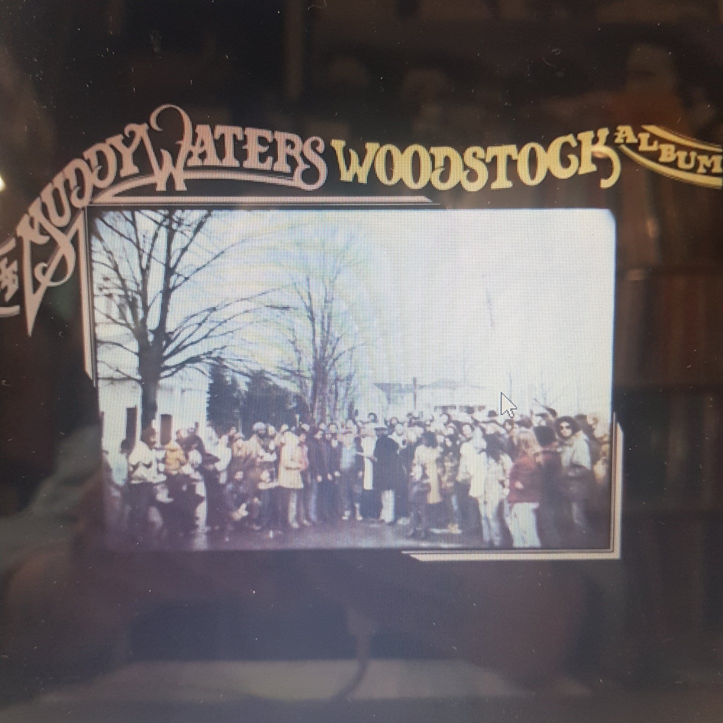 MUDDY WATERS - MUDDY WATERS WOODSTOCK ALBUM VINYL