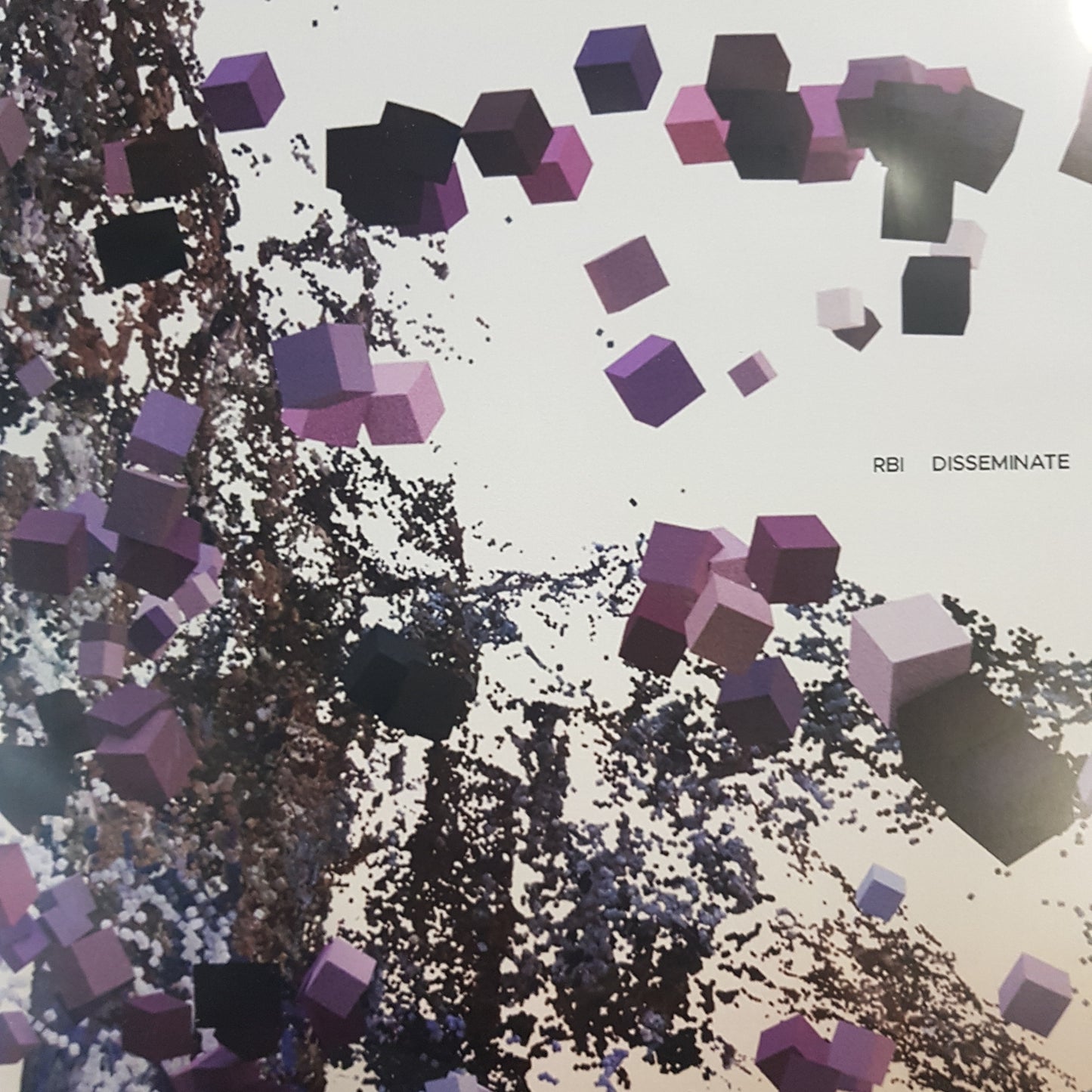 RBI - DISSEMINATE VINYL