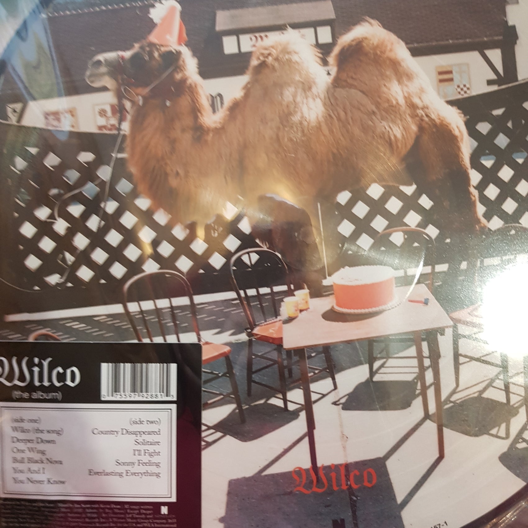 WILCO - WILCO (PIC DISC) VINYL
