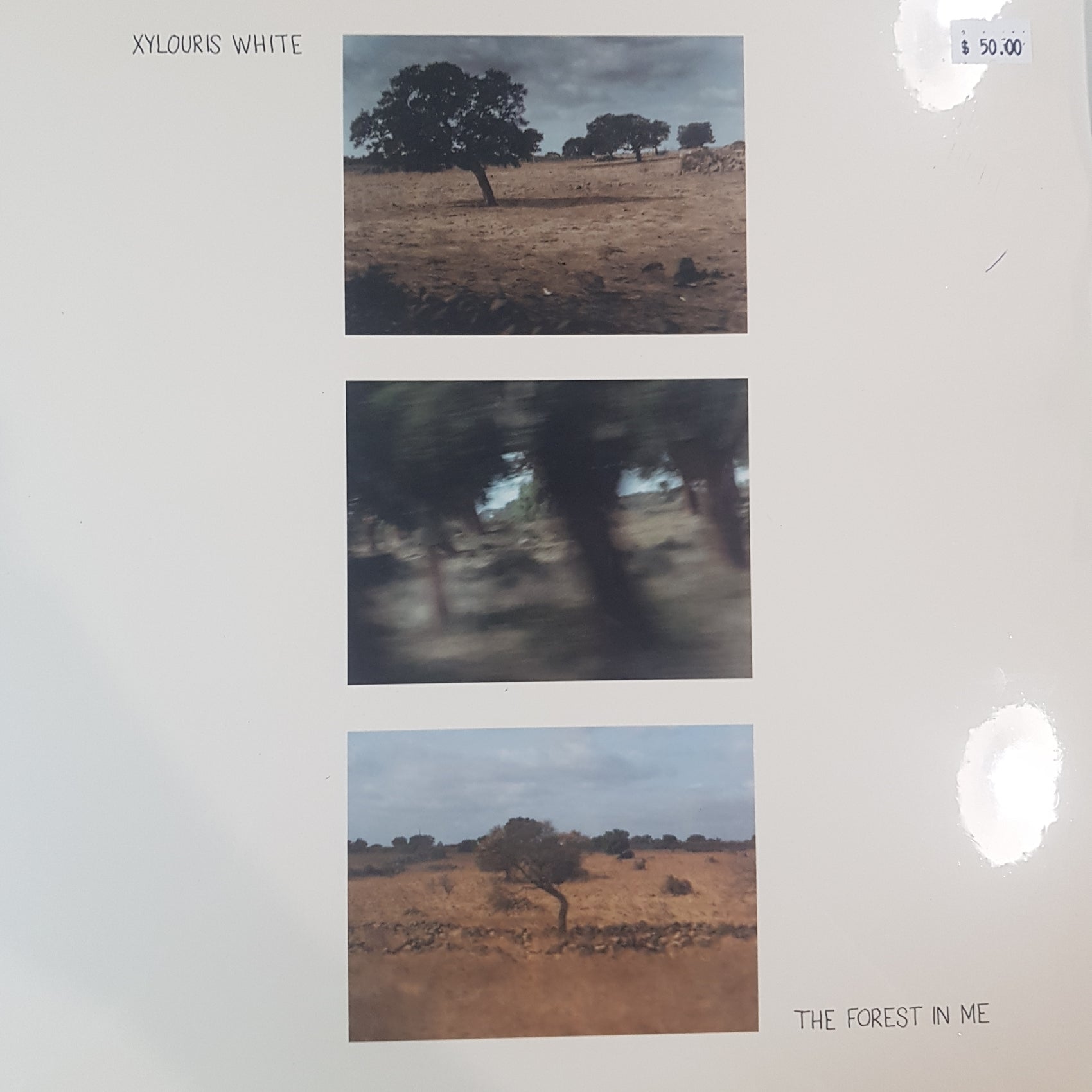 XYLOURIS WHITE - THE FOREST IN ME VINYL