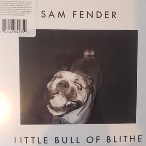 SAM FENDER - LITTLE BULL OF BLITHE (7") RSD 2023 VINYL