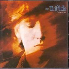 TRIFFIDS - CALENTURE (USED VINYL 1988 AUS M-/EX+)