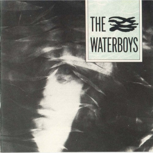 WATERBOYS - THE WATERBOYS (USED VINYL 1983 AUS M-/EX+)