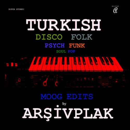ARŞIVPLAK - MOOG EDITS VINYL