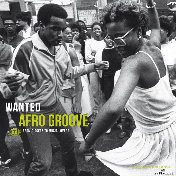 VARIOUS ARTISTS - WANTED AFRO GROOVE: FROM DIGGERS TO MUSIC LOVERS VINYL