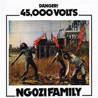 NGOZI FAMILY - 46,000 VOLTS VINYL