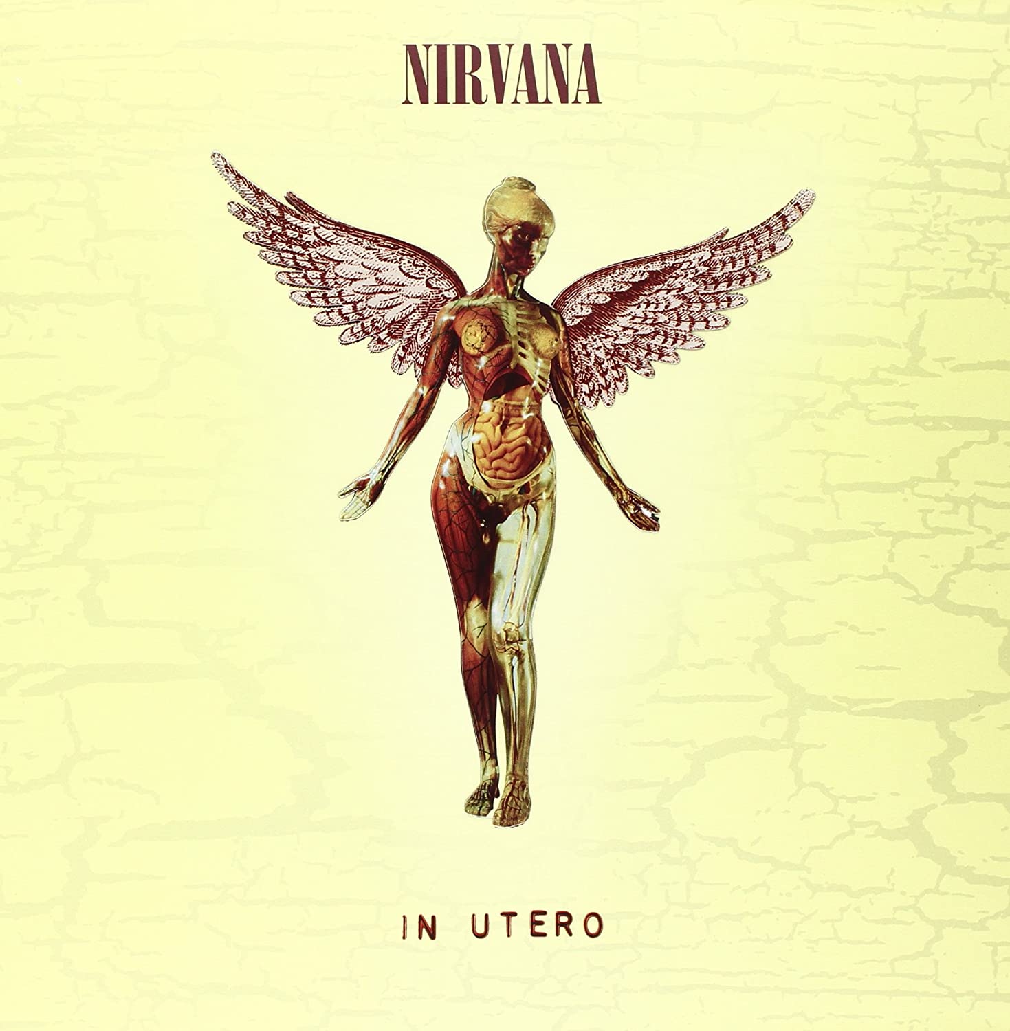 NIRVANA - IN UTERO (3CD +1 DVD) BOX SET