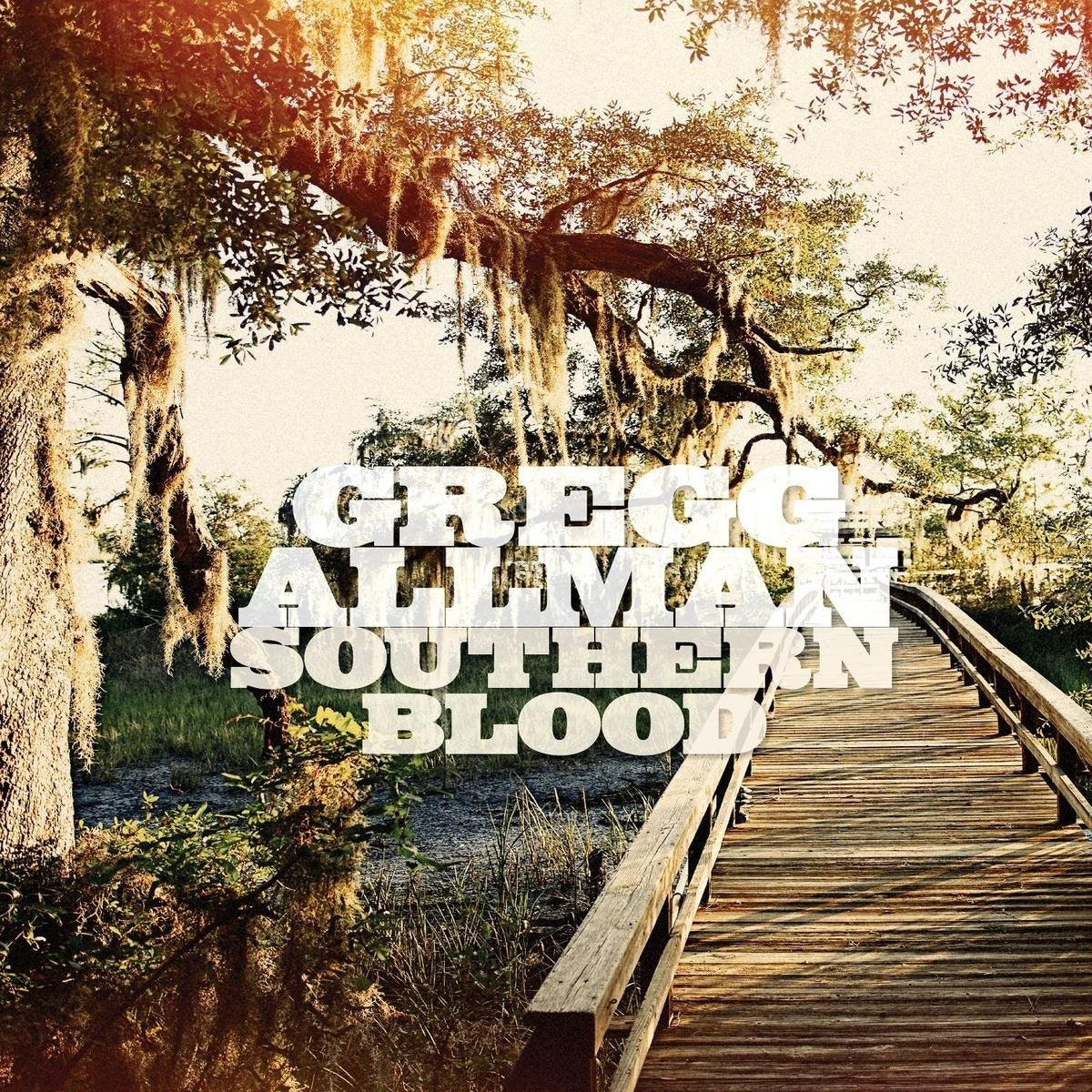 GREG ALLMAN - SOUTHERN BLOOD VINYL
