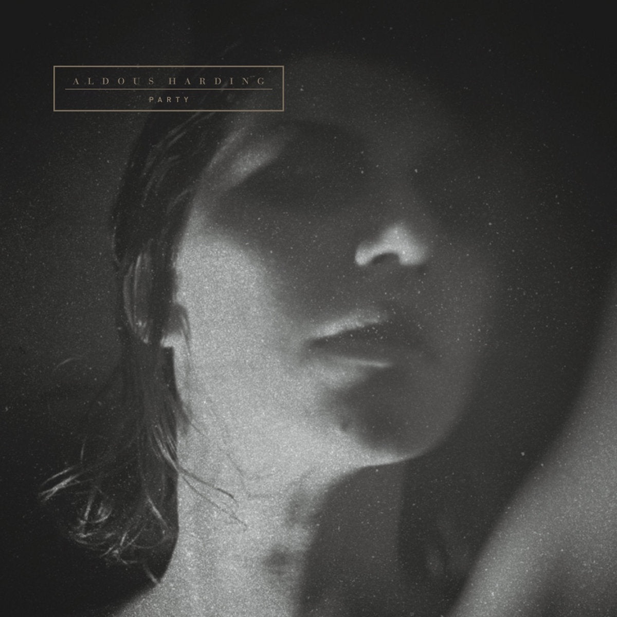 ALDOUS HARDING - PARTY VINYL