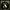 BAND OF LIGHT - TOTAL UNION CD