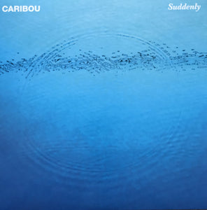 CARIBOU - SUDDENLY VINYL