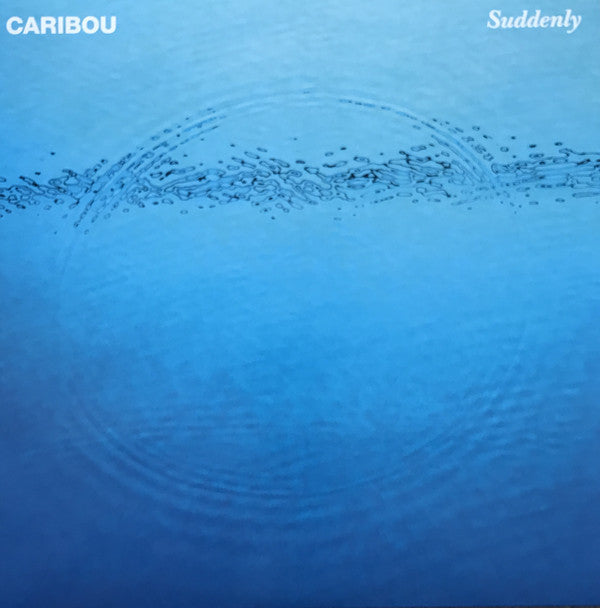 CARIBOU - SUDDENLY VINYL