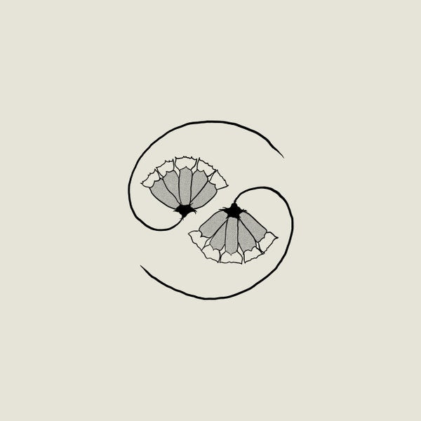 GODSPEED YOU! BLACK EMPEROR - G_D'S PEE AT STATE'S END (LP + 10") VINYL
