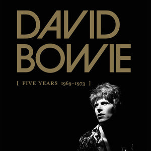 DAVID BOWIE - [FIVE YEARS 1969-1973] (13LP) VINYL BOX SET