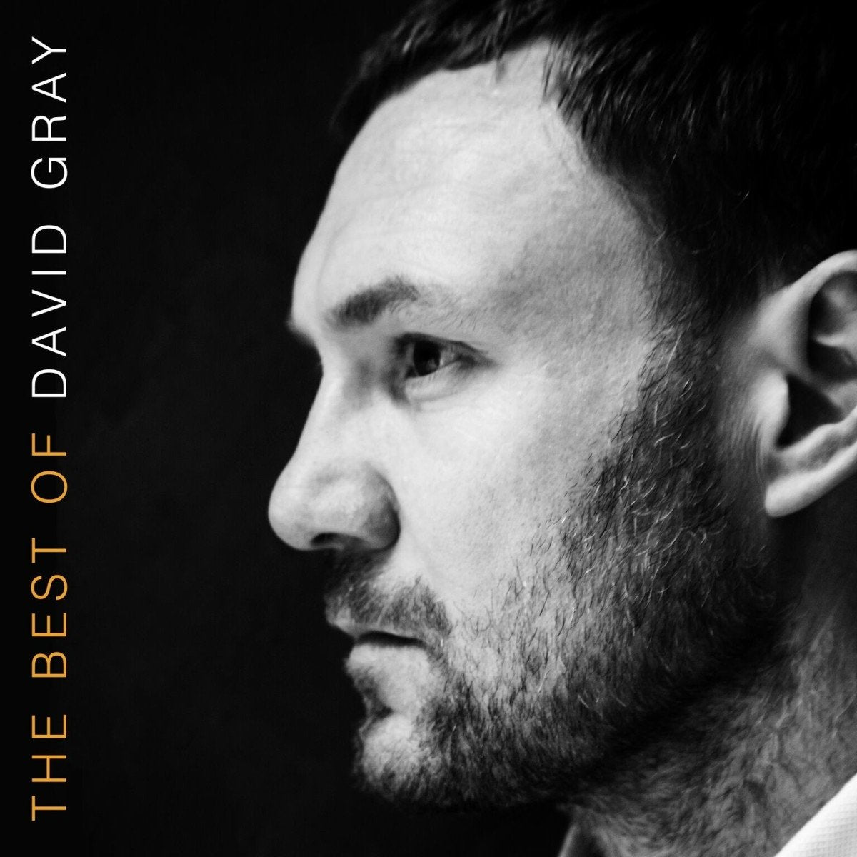 DAVID GRAY - THE BEST OF DAVID GRAY (2LP) VINYL