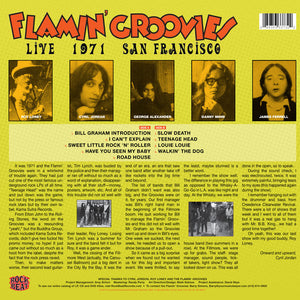 FLAMIN' GROOVIES - LIVE 1971 SAN FRANCISCO VINYL
