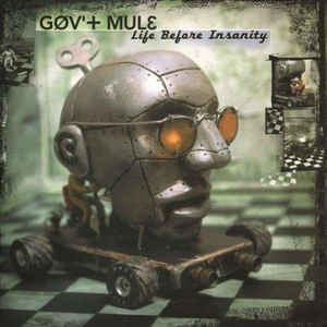 GOV'T MULE - LIFE BEFORE INSANITY (2LP) VINYL