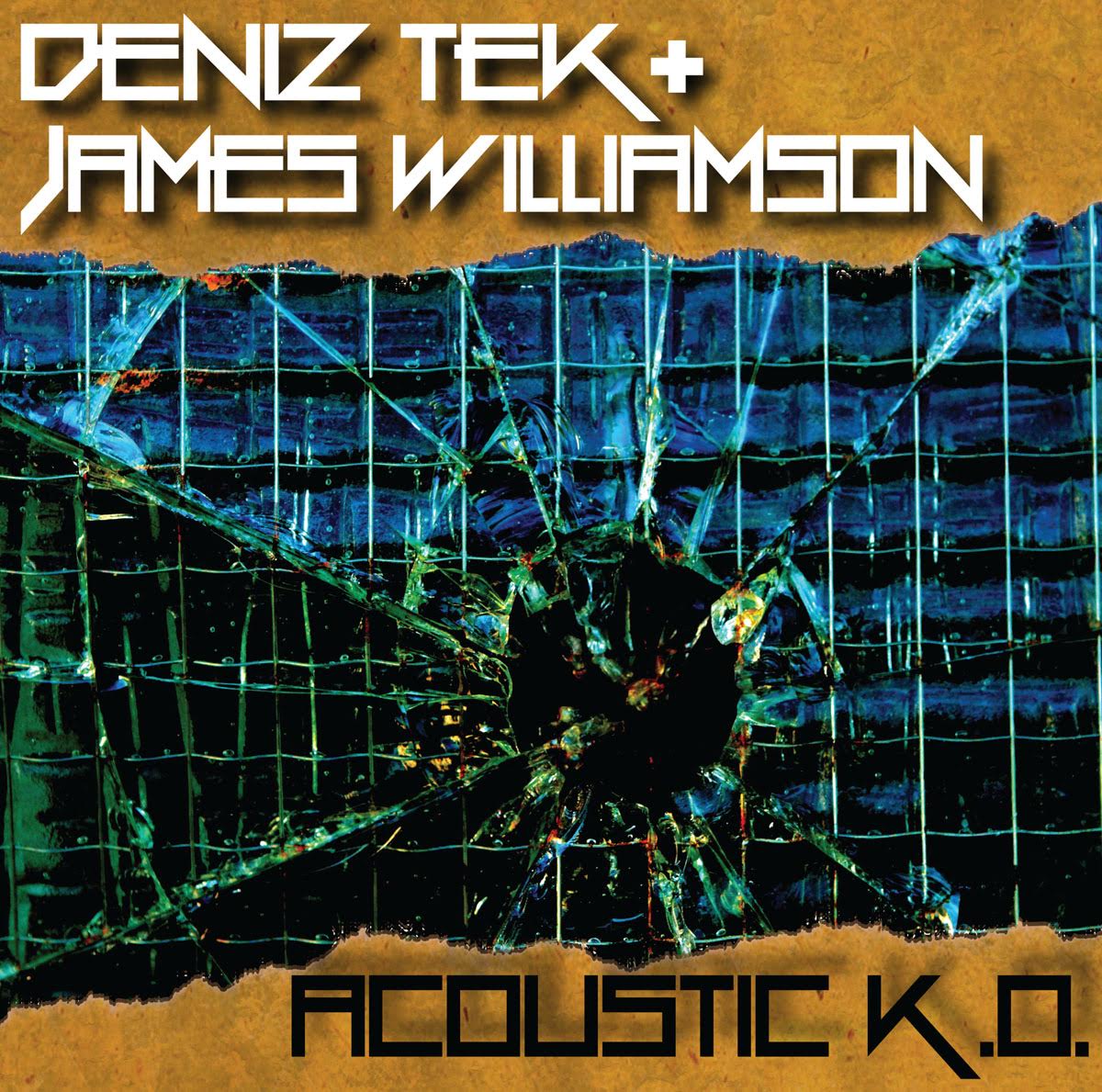 DENIZ TEK AND JAMES WILLIAMSON - ACOUSTIC K.O. (10") VINYL
