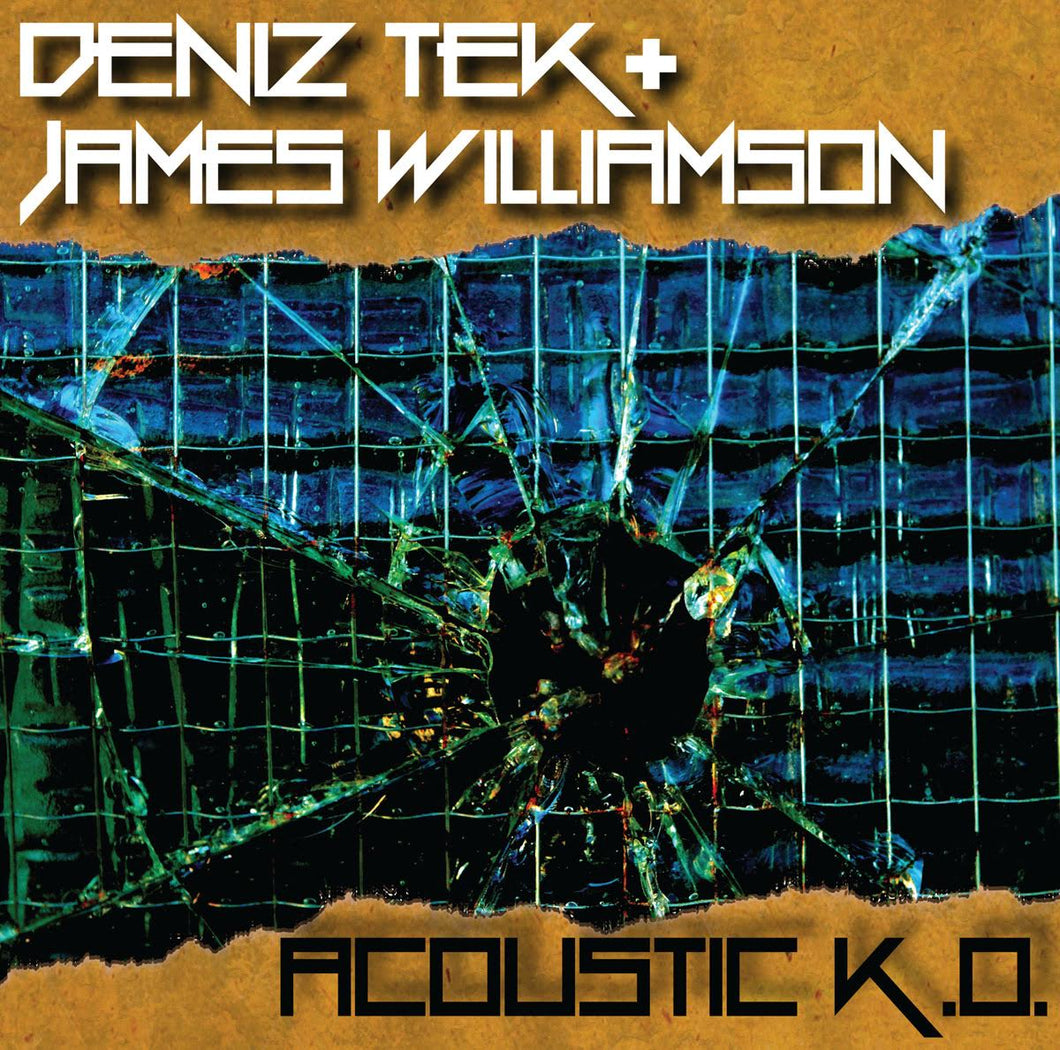 DENIZ TEK AND JAMES WILLIAMSON - ACOUSTIC K.O. (10