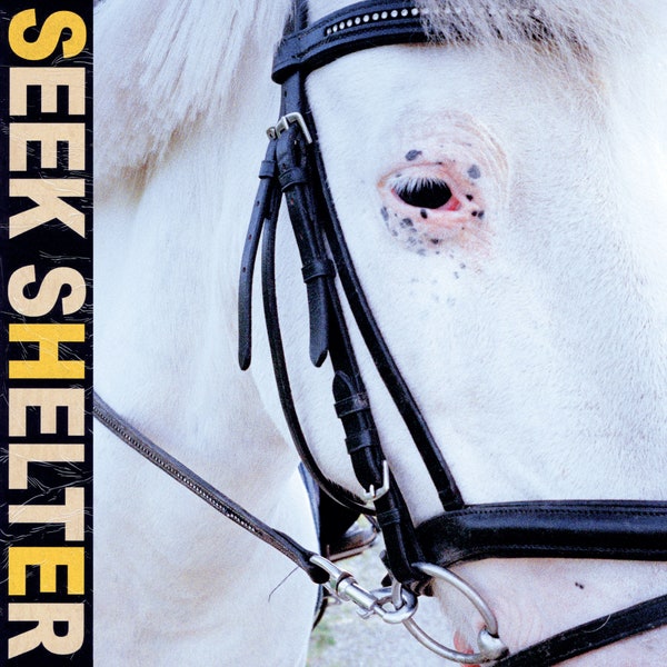 ICEAGE - SEEK SHELTER VINYL