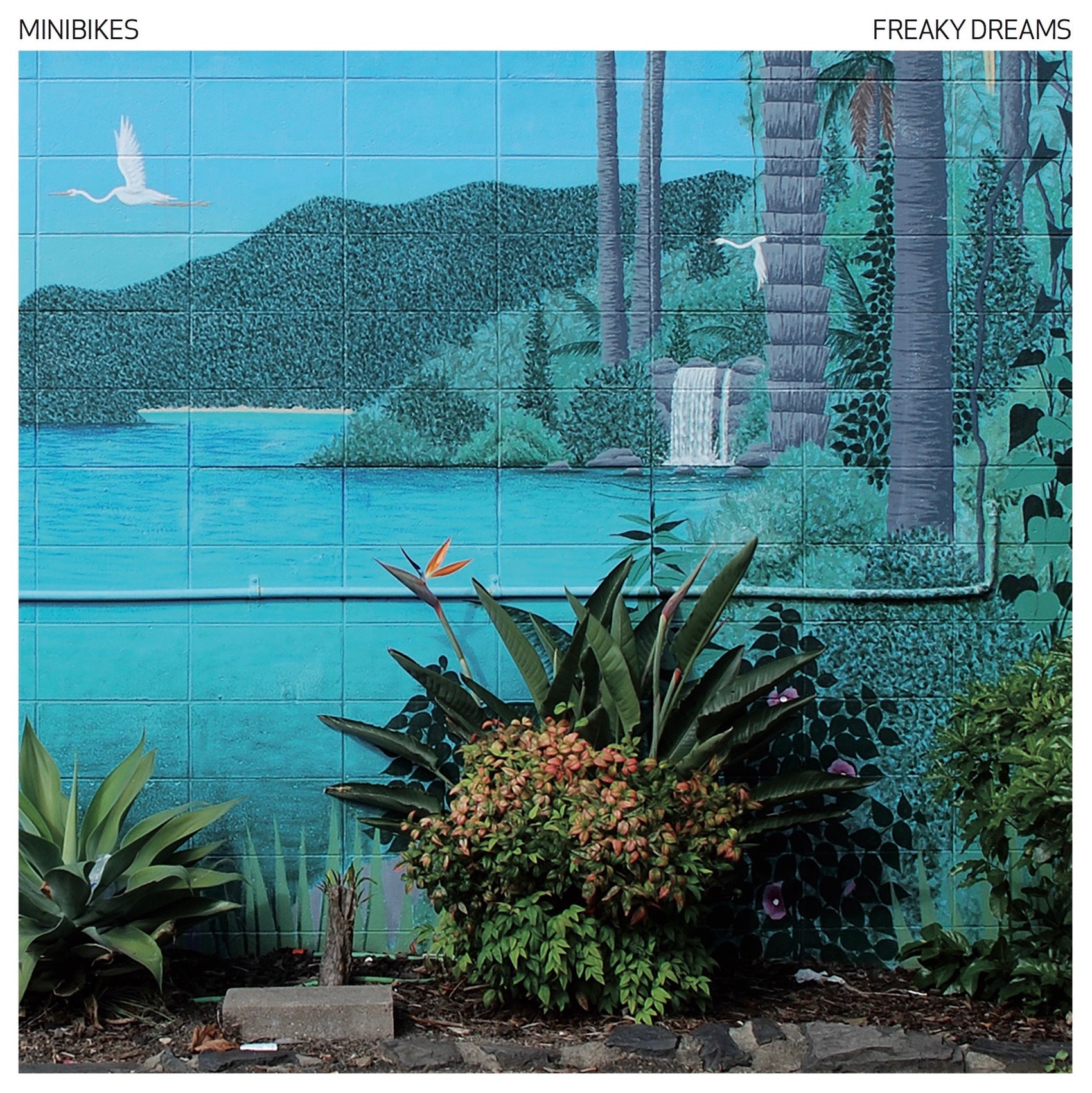 MINIBIKES - FREAKY DREAMS VINYL