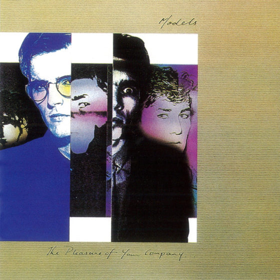 MODELS - THE PLEASURE OF YOUR COMPANY VINYL