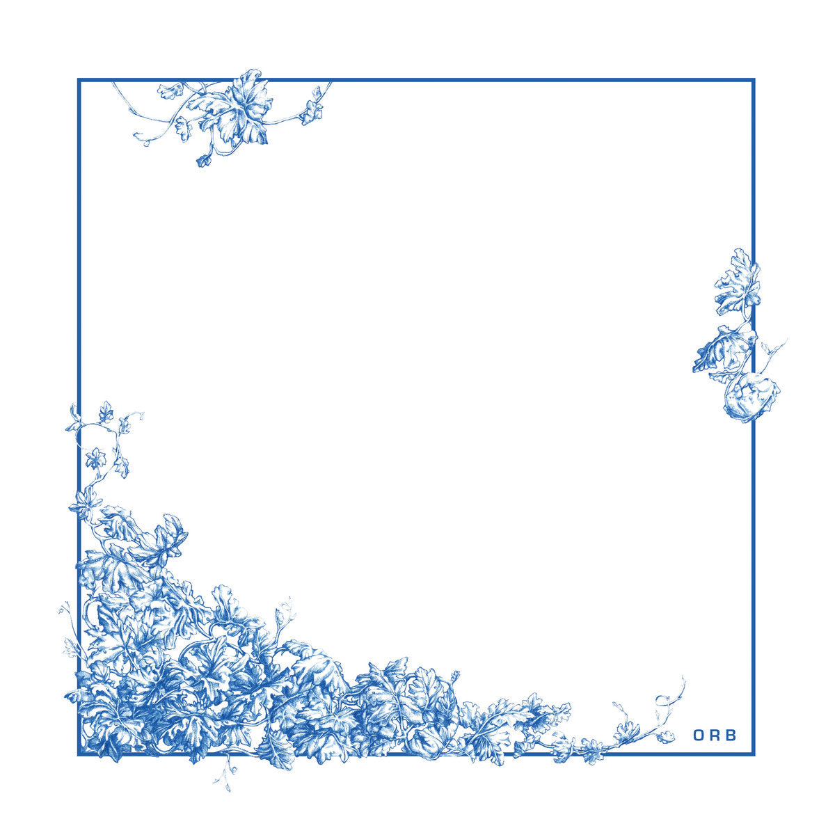 ORB - NATURALITY VINYL