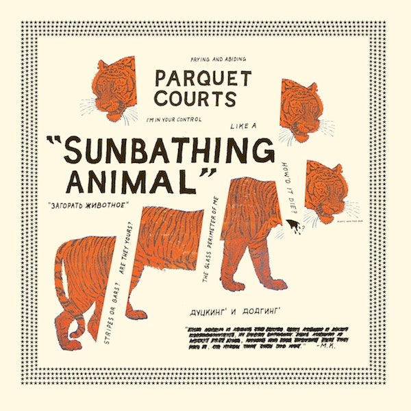 PARQUET COURTS - SUNBATHING ANIMAL VINYL