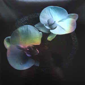 MIKE PATTON & JEAN-CLAUDE VANNIER - CORPSE FLOWER (SMOKY SWIRL COLOURED) VINYL