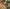 LEROY HUTSON - ANTHOLOGY 1972-84 (2LP) VINYL